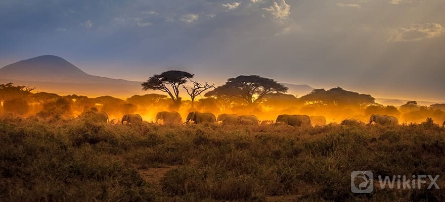Africa-min.jpg