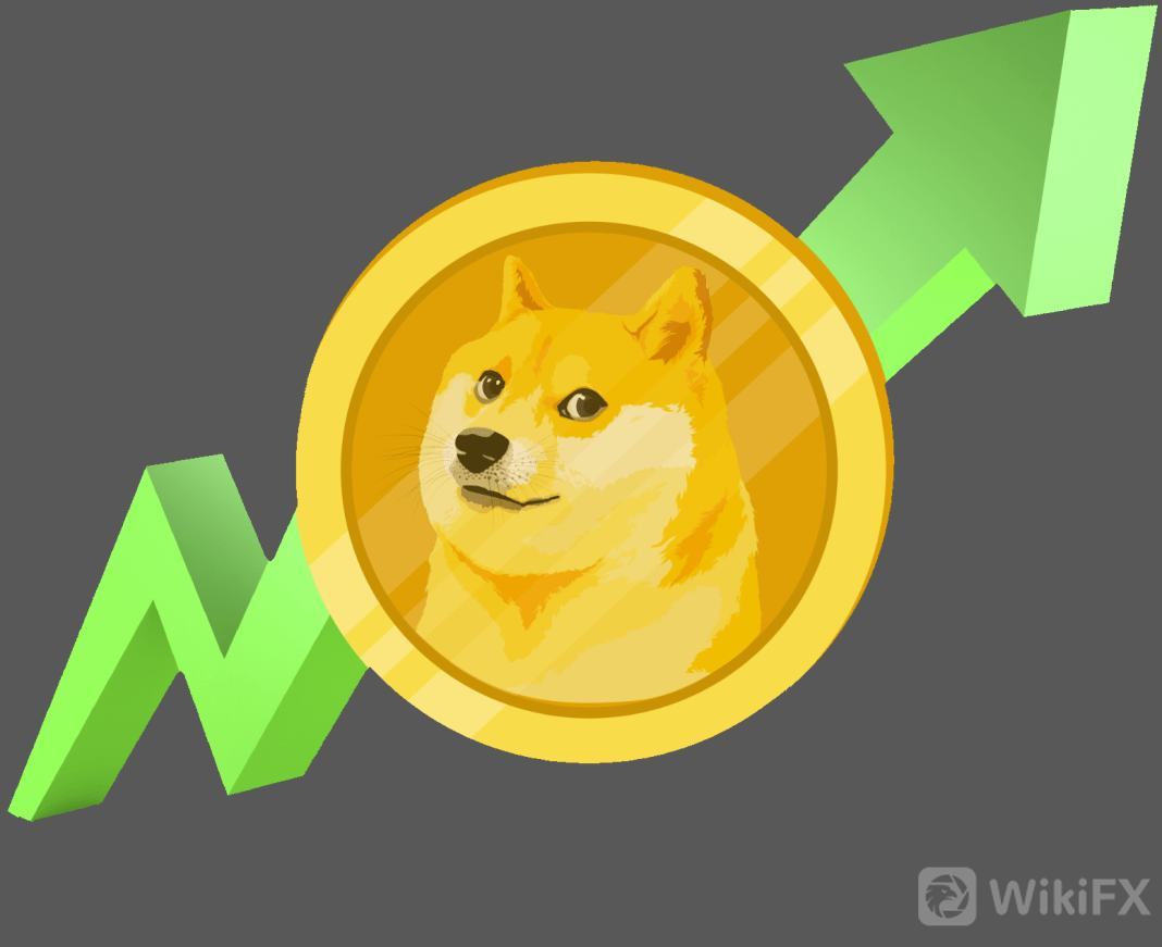 doge.png