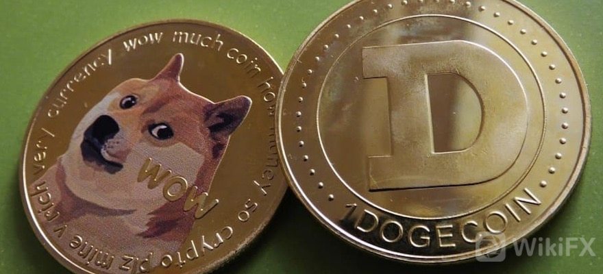 dogecoin-h.jpg