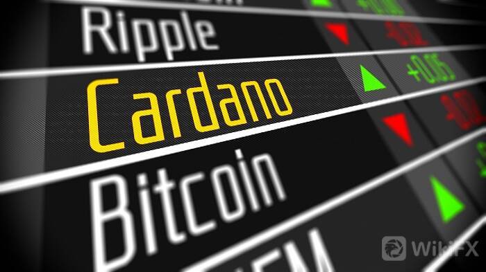 Cardano-CRYPTOS.jpg