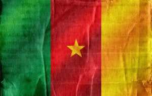 cameroon-flag-02.jpg