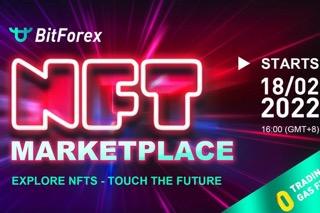 bitforex_nft_marketplace_cover 