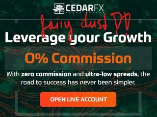 CedarFX-FI 