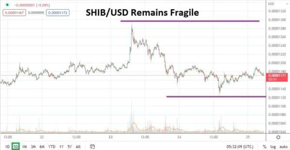 SHIB/USD