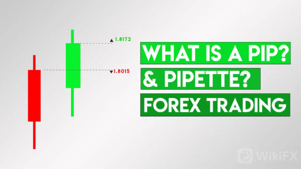 FX0011-What-is-a-Pip-Forex-Trading-Thumb.jpg